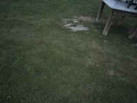 058- web